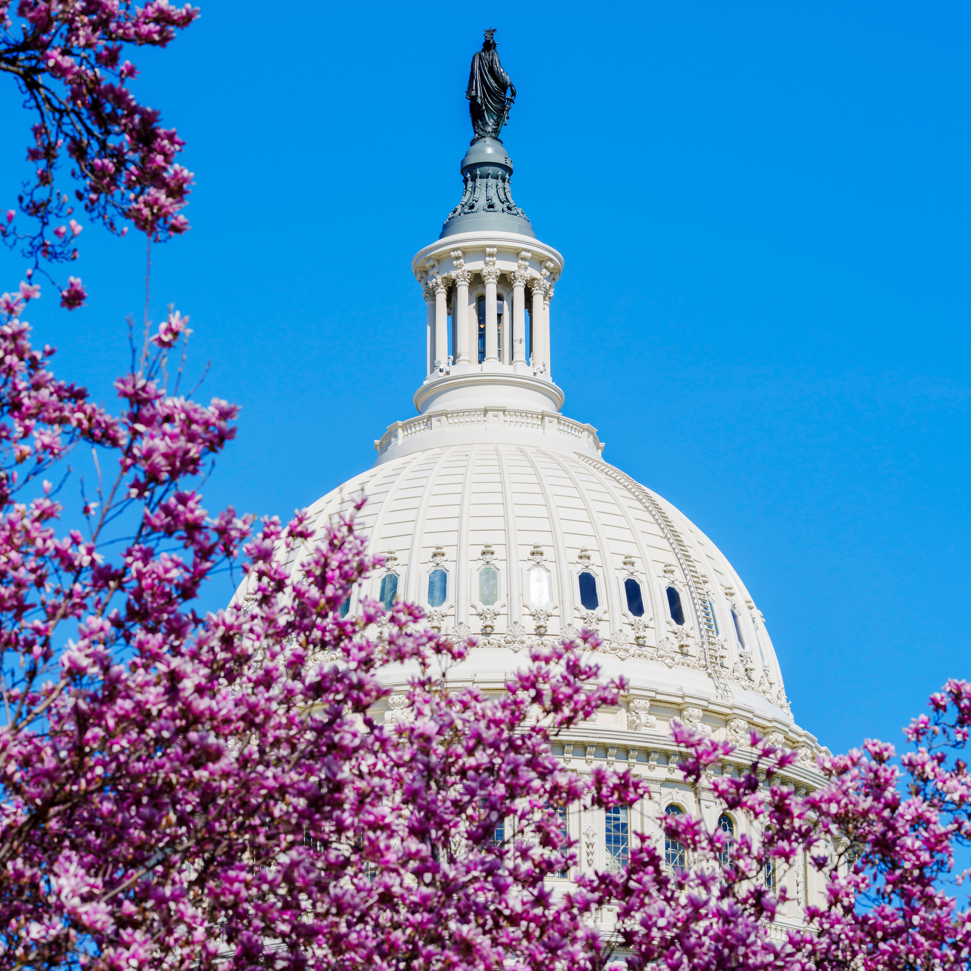 Capitol Building